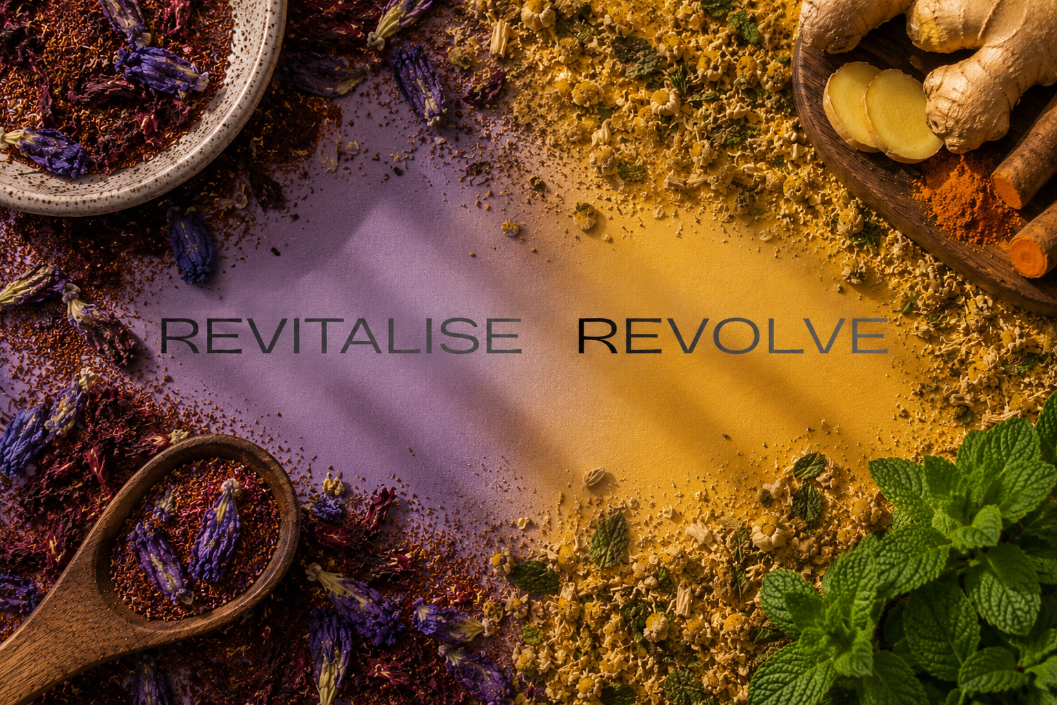 Wellness & Recovery